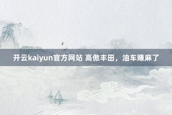 开云kaiyun官方网站 高傲丰田，油车赚麻了