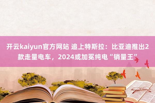 开云kaiyun官方网站 追上特斯拉：比亚迪推出2款走量电车，2024或加冕纯电“销量王”