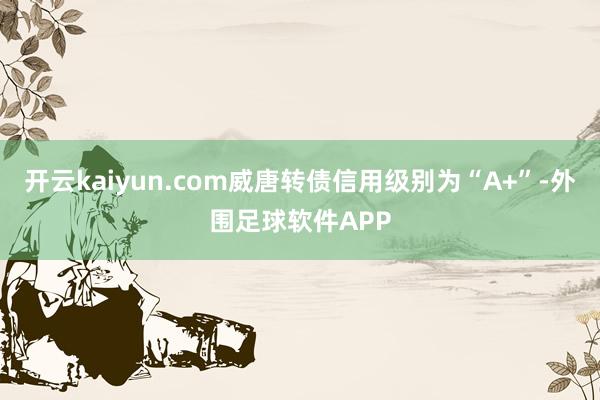 开云kaiyun.com威唐转债信用级别为“A+”-外围足球软件APP