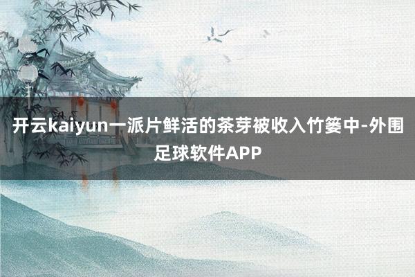 开云kaiyun一派片鲜活的茶芽被收入竹篓中-外围足球软件APP