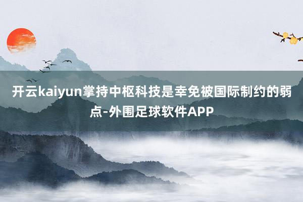 开云kaiyun掌持中枢科技是幸免被国际制约的弱点-外围足球软件APP