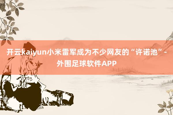 开云kaiyun小米雷军成为不少网友的“许诺池”-外围足球软件APP