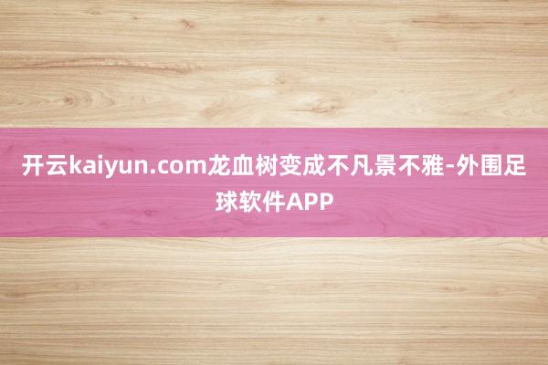 开云kaiyun.com龙血树变成不凡景不雅-外围足球软件APP