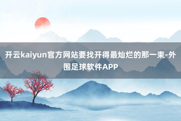 开云kaiyun官方网站要找开得最灿烂的那一束-外围足球软件APP