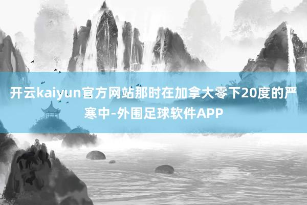 开云kaiyun官方网站那时在加拿大零下20度的严寒中-外围足球软件APP
