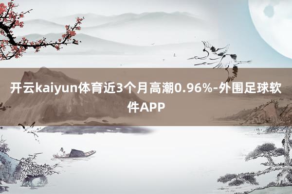 开云kaiyun体育近3个月高潮0.96%-外围足球软件APP