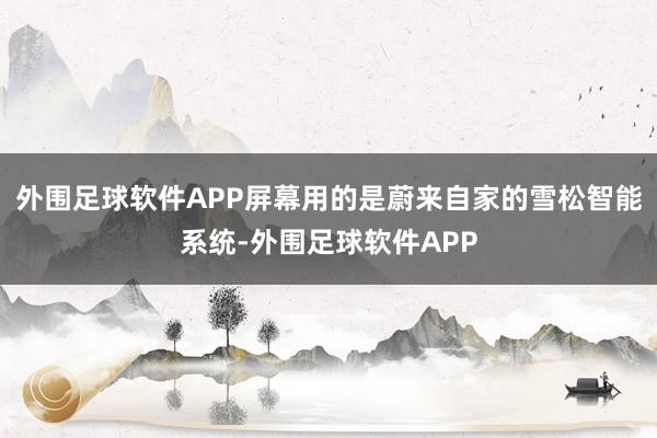 外围足球软件APP屏幕用的是蔚来自家的雪松智能系统-外围足球软件APP