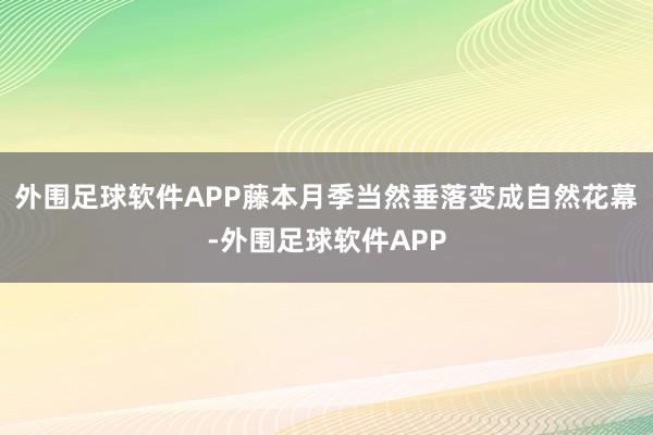 外围足球软件APP藤本月季当然垂落变成自然花幕-外围足球软件APP