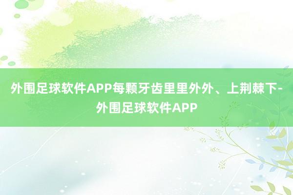 外围足球软件APP每颗牙齿里里外外、上荆棘下-外围足球软件APP
