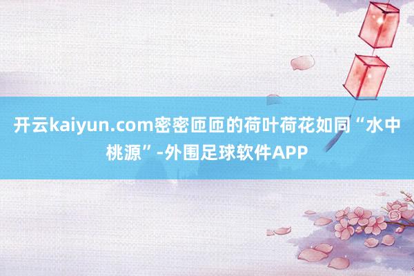 开云kaiyun.com密密匝匝的荷叶荷花如同“水中桃源”-外围足球软件APP