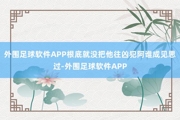 外围足球软件APP根底就没把他往凶犯阿谁成见思过-外围足球软件APP