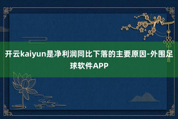 开云kaiyun是净利润同比下落的主要原因-外围足球软件APP