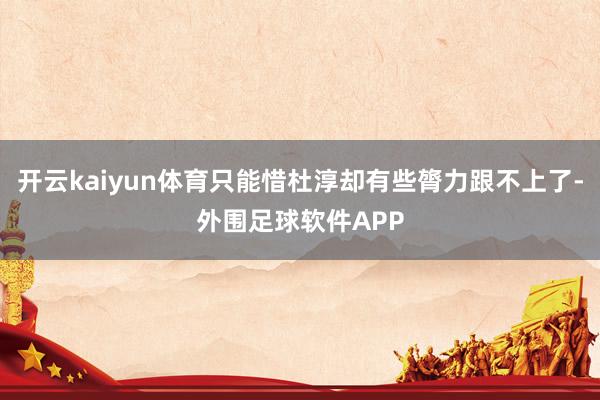 开云kaiyun体育只能惜杜淳却有些膂力跟不上了-外围足球软件APP