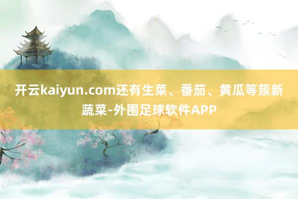 开云kaiyun.com还有生菜、番茄、黄瓜等簇新蔬菜-外围足球软件APP