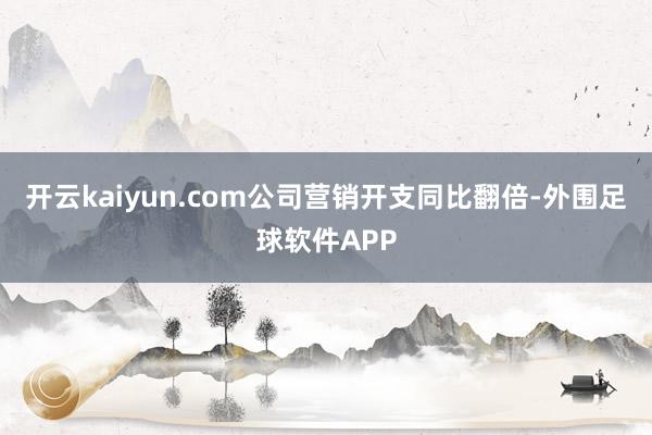 开云kaiyun.com公司营销开支同比翻倍-外围足球软件APP