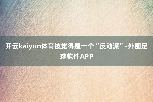 开云kaiyun体育被觉得是一个“反动派”-外围足球软件APP