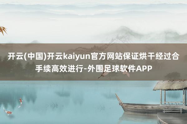 开云(中国)开云kaiyun官方网站保证烘干经过合手续高效进行-外围足球软件APP