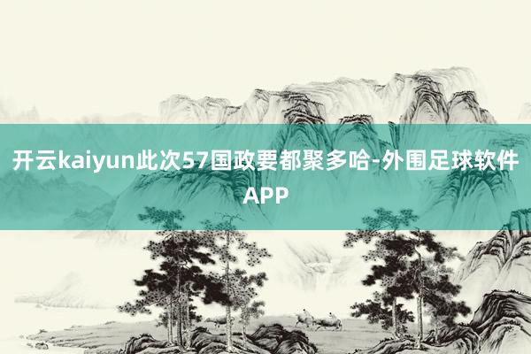 开云kaiyun此次57国政要都聚多哈-外围足球软件APP