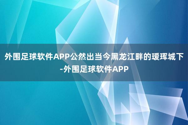 外围足球软件APP公然出当今黑龙江畔的瑷珲城下-外围足球软件APP