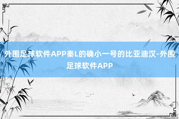 外围足球软件APP秦L的确小一号的比亚迪汉-外围足球软件APP