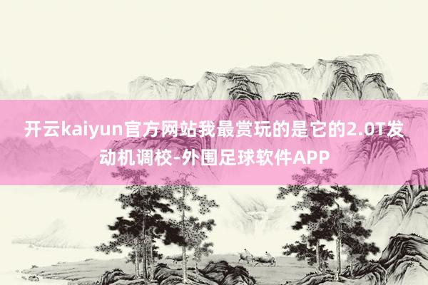 开云kaiyun官方网站我最赏玩的是它的2.0T发动机调校-外围足球软件APP