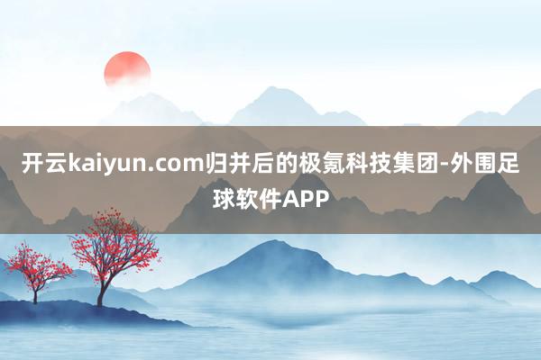 开云kaiyun.com归并后的极氪科技集团-外围足球软件APP