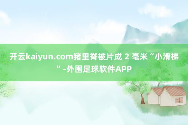 开云kaiyun.com猪里脊被片成 2 毫米“小滑梯”-外围足球软件APP