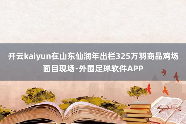 开云kaiyun在山东仙润年出栏325万羽商品鸡场面目现场-外围足球软件APP