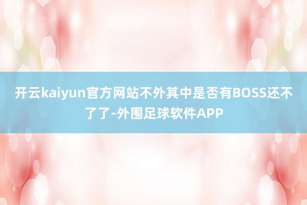 开云kaiyun官方网站不外其中是否有BOSS还不了了-外围足球软件APP