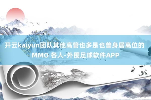 开云kaiyun团队其他高管也多是也曾身居高位的 MMO 各人-外围足球软件APP