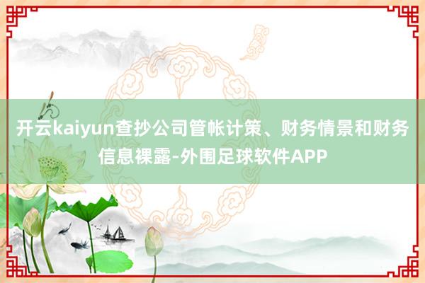 开云kaiyun查抄公司管帐计策、财务情景和财务信息裸露-外围足球软件APP
