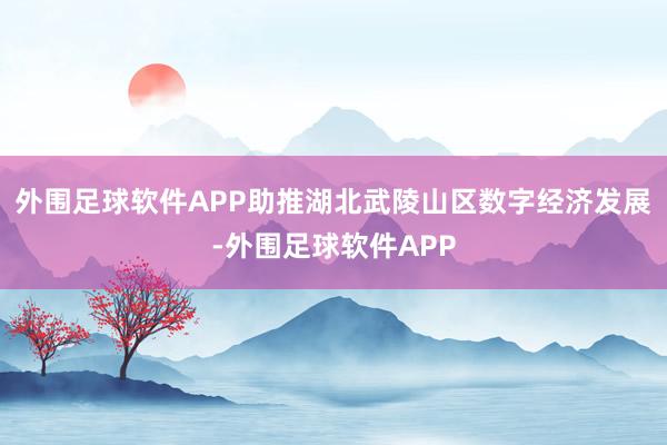 外围足球软件APP助推湖北武陵山区数字经济发展-外围足球软件APP