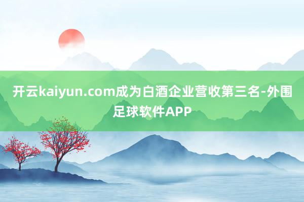开云kaiyun.com成为白酒企业营收第三名-外围足球软件APP