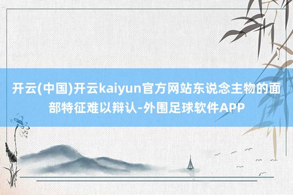 开云(中国)开云kaiyun官方网站东说念主物的面部特征难以辩认-外围足球软件APP