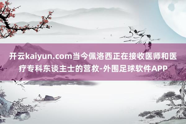 开云kaiyun.com当今佩洛西正在接收医师和医疗专科东谈主士的营救-外围足球软件APP