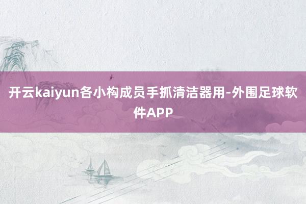开云kaiyun各小构成员手抓清洁器用-外围足球软件APP