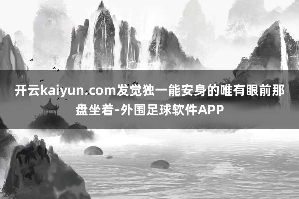 开云kaiyun.com发觉独一能安身的唯有眼前那盘坐着-外围足球软件APP