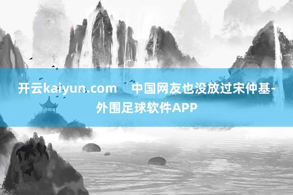 开云kaiyun.com 中国网友也没放过宋仲基-外围足球软件APP