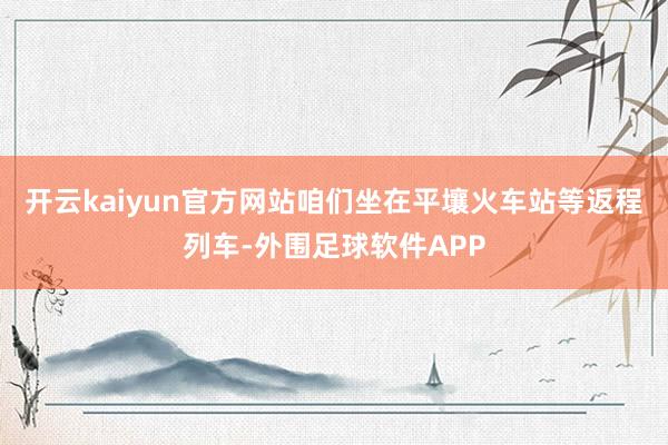 开云kaiyun官方网站咱们坐在平壤火车站等返程列车-外围足球软件APP