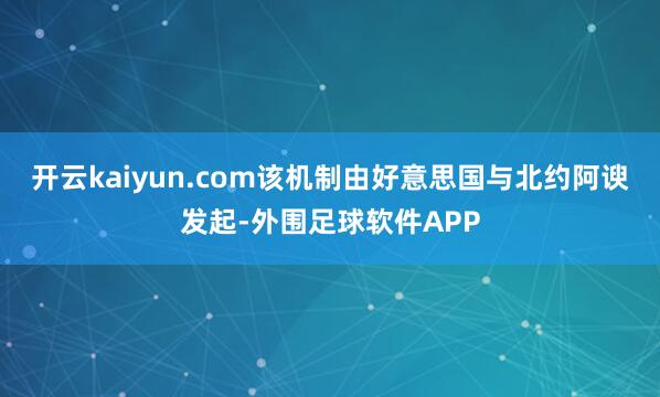 开云kaiyun.com该机制由好意思国与北约阿谀发起-外围足球软件APP