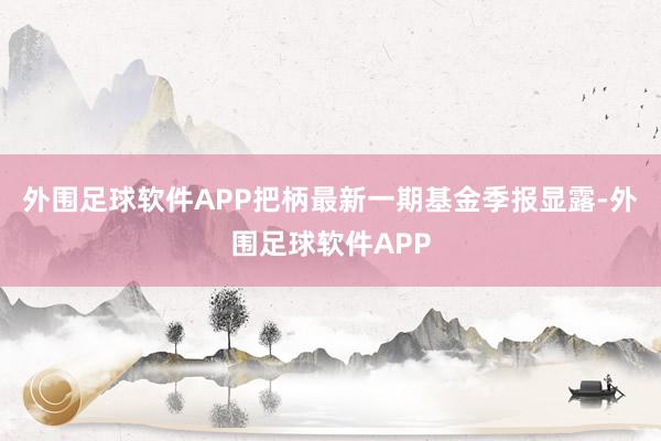 外围足球软件APP把柄最新一期基金季报显露-外围足球软件APP