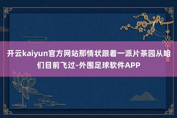 开云kaiyun官方网站那情状跟着一派片茶园从咱们目前飞过-外围足球软件APP