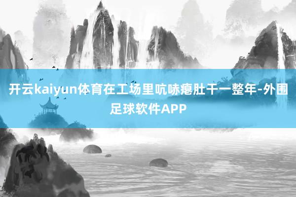 开云kaiyun体育在工场里吭哧瘪肚干一整年-外围足球软件APP
