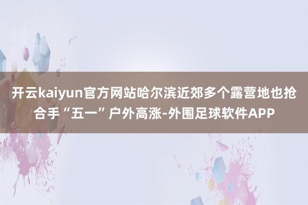 开云kaiyun官方网站哈尔滨近郊多个露营地也抢合手“五一”户外高涨-外围足球软件APP