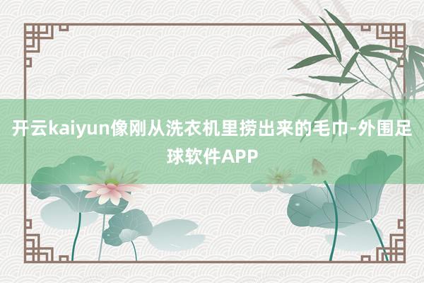 开云kaiyun像刚从洗衣机里捞出来的毛巾-外围足球软件APP