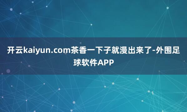 开云kaiyun.com茶香一下子就漫出来了-外围足球软件APP