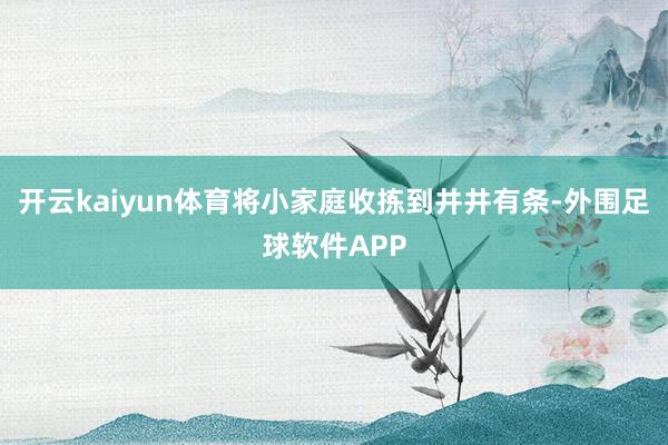 开云kaiyun体育将小家庭收拣到井井有条-外围足球软件APP