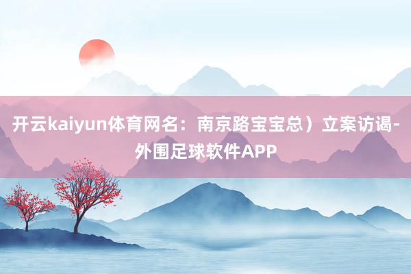 开云kaiyun体育网名:南京路宝宝总)立案访谒-外围足球软件APP