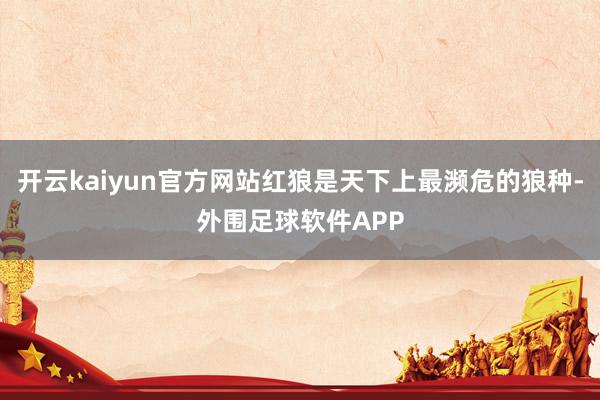 开云kaiyun官方网站红狼是天下上最濒危的狼种-外围足球软件APP