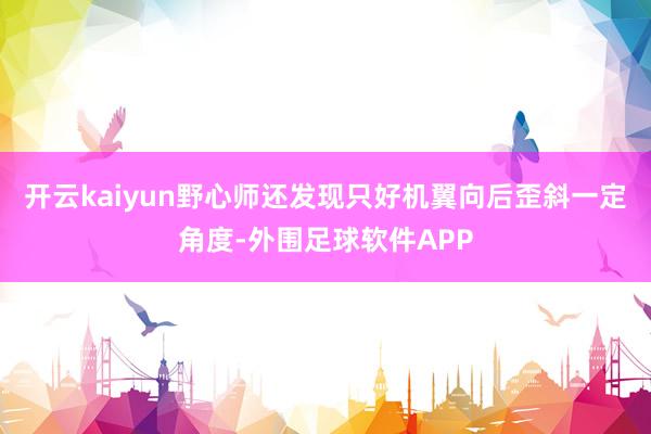 开云kaiyun野心师还发现只好机翼向后歪斜一定角度-外围足球软件APP